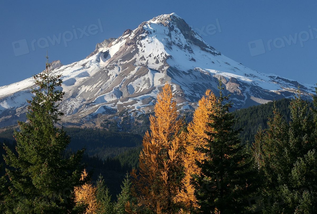 The mountains behind the property